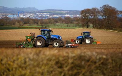 Türkiye’de tarım destekleri ve devlet hibeleri