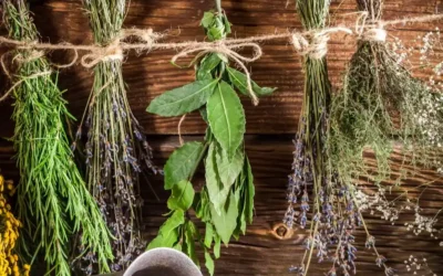 Herbalife ve Su Tüketiminin Önemi
