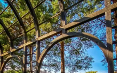 Kendin Yap Pergola Projeleri İçin İpuçları